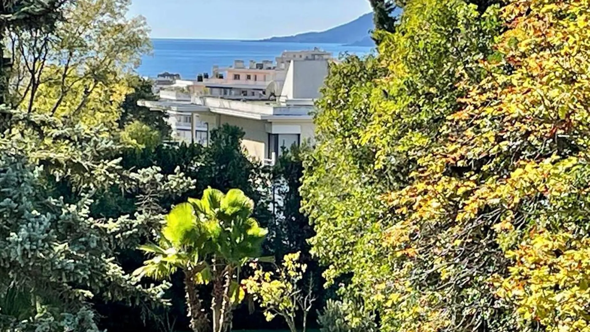 Parc - 4 Pers 60M2 - Piscine - Climatise Lejlighed Cannes Frankrig